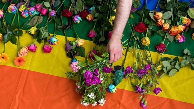 Rainbow flowers