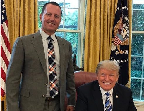 Grenell Trump