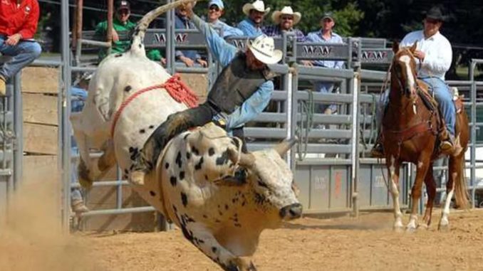 Gay rodeo