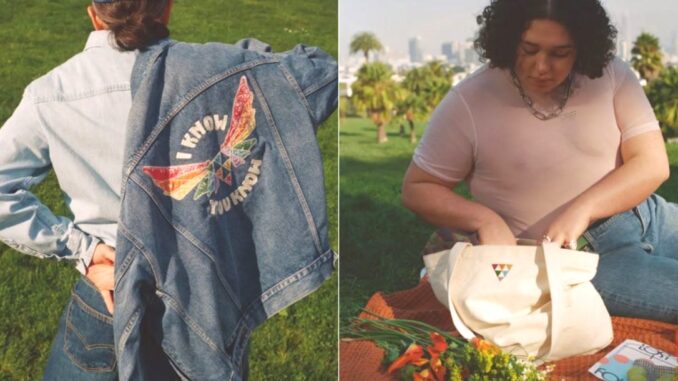 Levi pride collection 2025