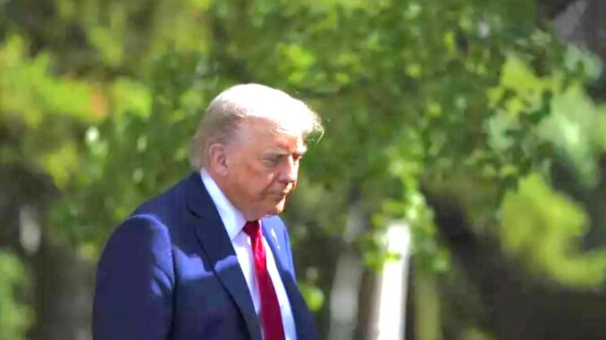 donald trump naacp